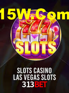Interface Premium 313bet